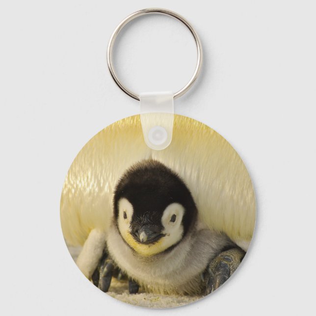 Penguin baby keychain (Front)