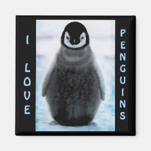 Penguin Baby Penguin-lover Fine Art Magnet