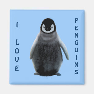 Penguin Baby Penguin-lover Fine Art Magnet