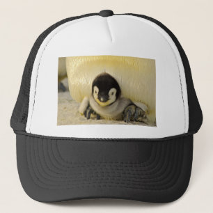 Penguin baby trucker hat