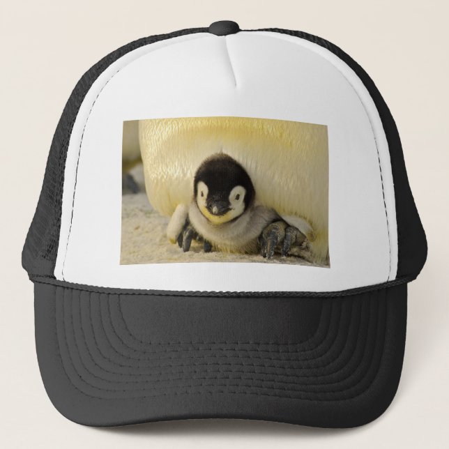 Penguin baby trucker hat (Front)