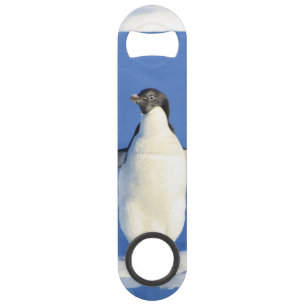 Penguin Bar Key