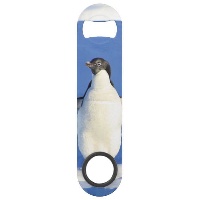 Penguin Bar Key (Front)