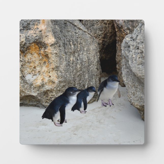 Penguin Beach House,   Plaque (Front)