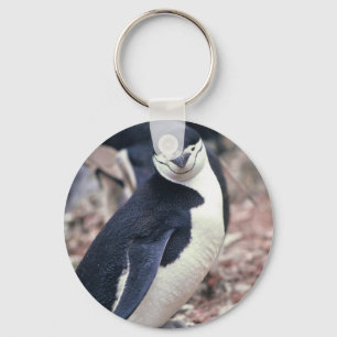 Penguin Bird Cute Animal Black White Water Keychain