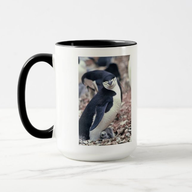 Penguin Bird Cute Animal Black White Water Mug (Left)