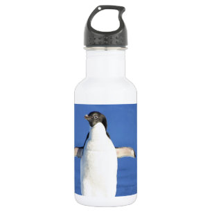 Penguin Bird Feathers Black White Personalize Name 532 Ml Water Bottle