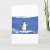 Penguin Bird Feathers Black White Personalize Name