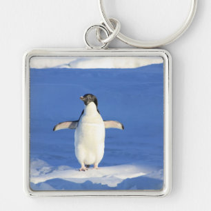 Penguin Bird Feathers Black White Personalize Name Keychain