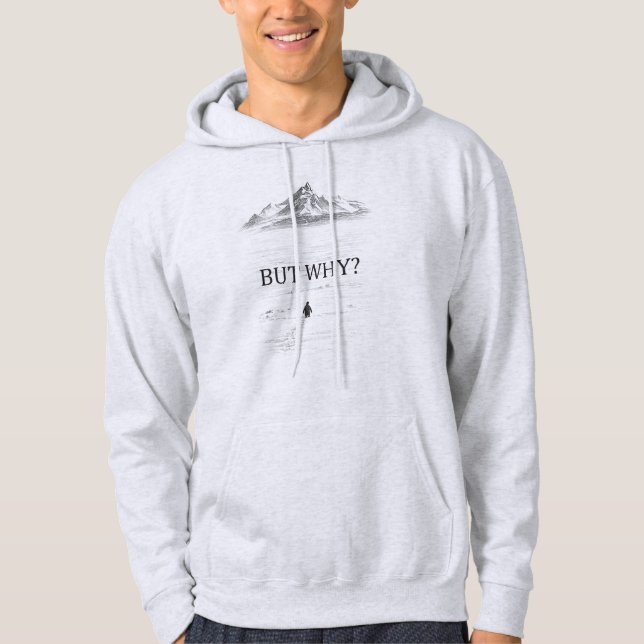 Penguin But Why Mountains Hoodie (Front)
