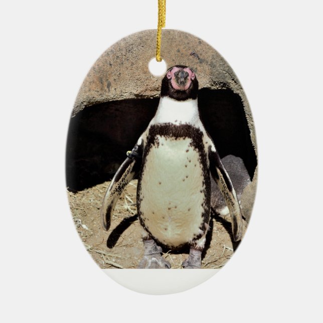 Penguin Ceramic Ornament (Front)