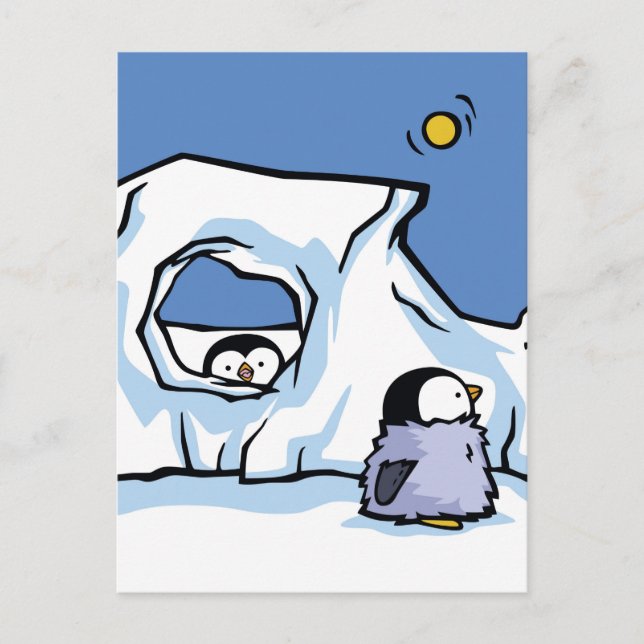Penguin Chick Peek-a-Boo Post Card (Front)