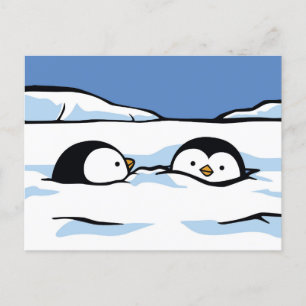 Penguin Chick Snow Deep Post Card