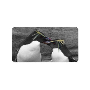 Penguin Colour Splash Label