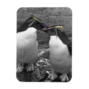 Penguin Colour Splash Magnet