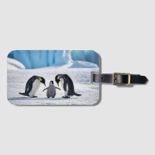 Penguin Family Luggage Tag