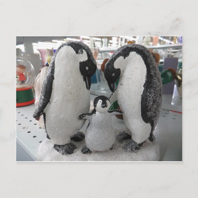 Penguin Family Postcard (Front)