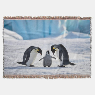 Penguin Family Throw Blanket