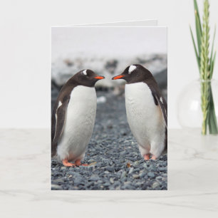 PENGUIN FRIENDSHIP FRIEND greeting card