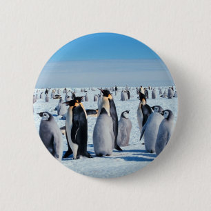 Penguin Gathering 2 Inch Round Button