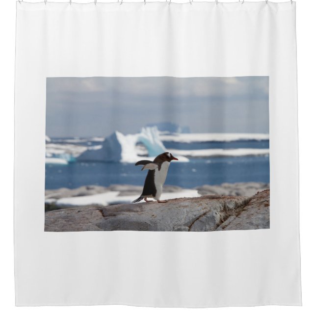 Penguin in front of an ice arch (Front)
