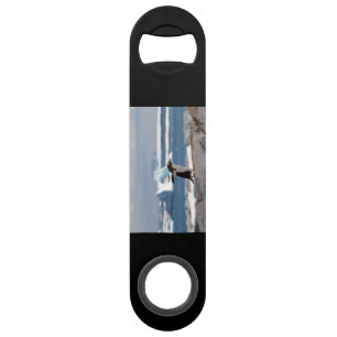 Penguin in front of an ice arch bar key