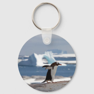 Penguin in front of an ice arch keychain