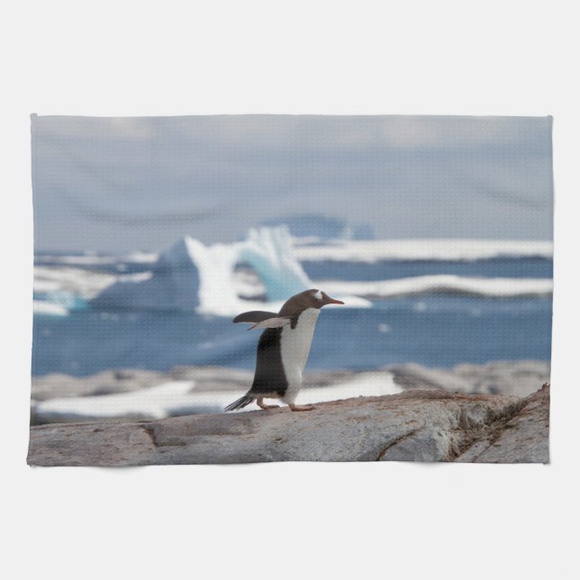 Penguin in front of an ice arch kitchen towel (Horizontal)