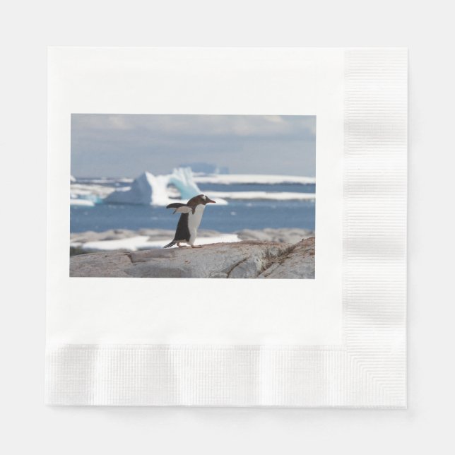 Penguin in front of an ice arch napkin (Front)