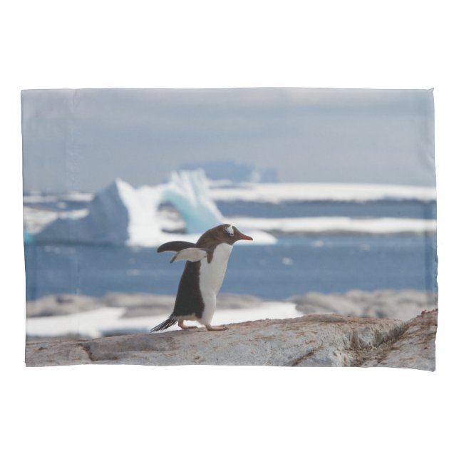 Penguin in front of an ice arch pillowcase (Front)