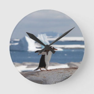 Penguin in front of an ice arch round clock