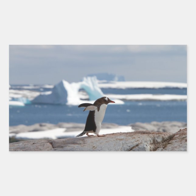 Penguin in front of an ice arch sticker (Front)