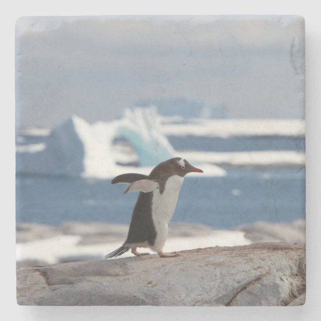 Penguin in front of an ice arch stone coaster (Front)