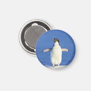 Penguin in the Snow Magnet