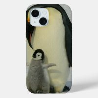Penguin Looking at Chick