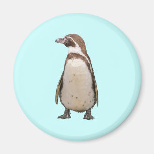 Penguin Magnet
