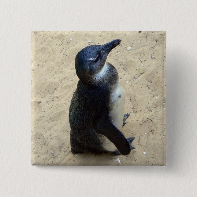 Penguin on sand 2 inch square button (Front)