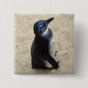 Penguin on sand 2 inch square button