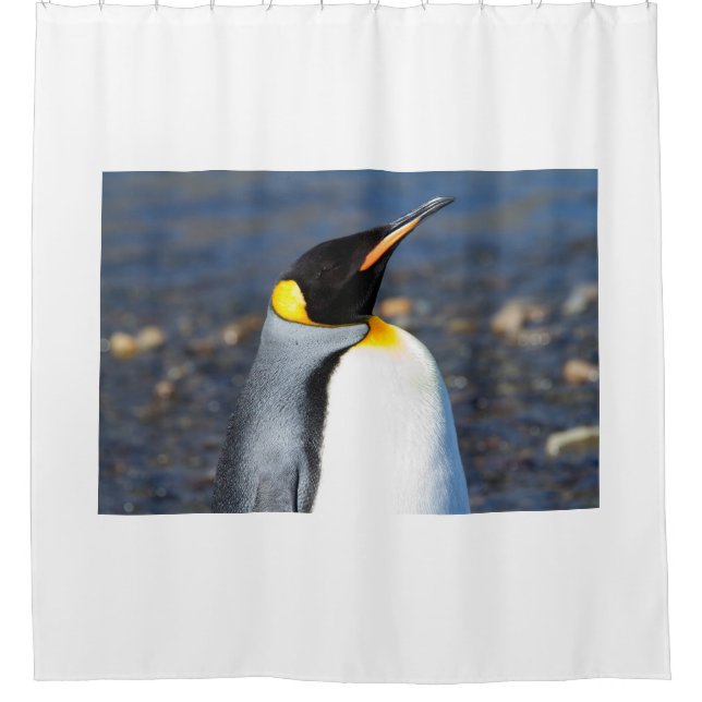 Penguin Portrait (Front)