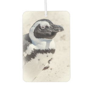 Penguin Portrait Air Freshener