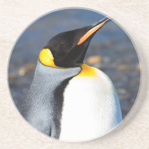 Penguin Portrait Coaster