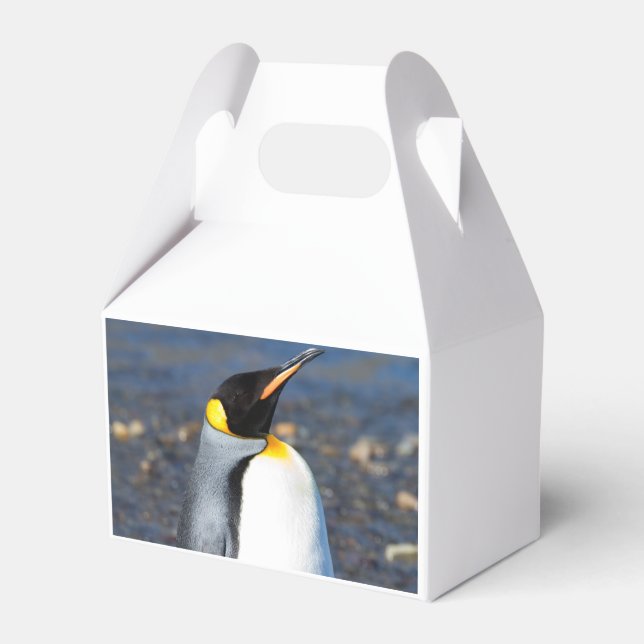 Penguin Portrait Favor Box (Back Side)