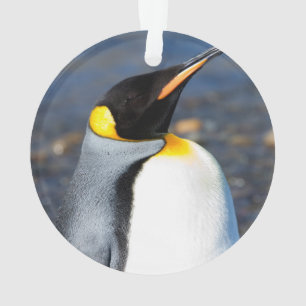 Penguin Portrait Ornament