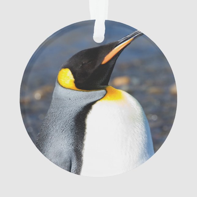 Penguin Portrait Ornament (Back)