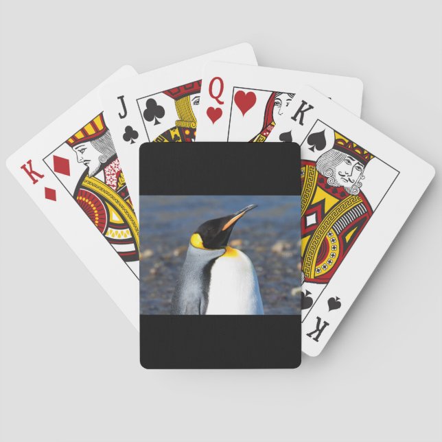 Penguin Portrait Playing Cards (Back)