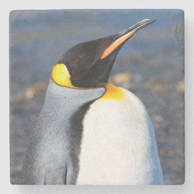 Penguin Portrait Stone Coaster (Front)