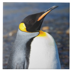 Penguin Portrait Tile