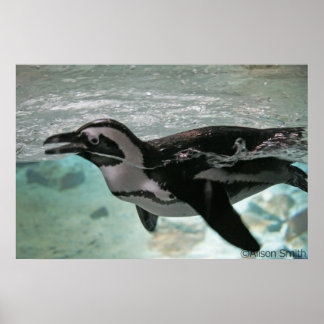 Penguin Poster