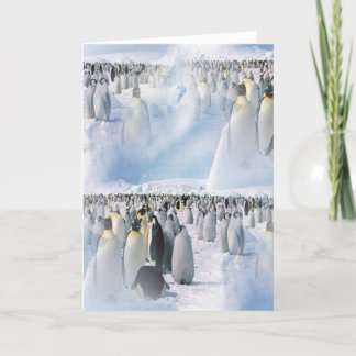 Penguin Products Holiday Card