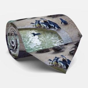 Penguin Relay: Penguin Flock Swim Team, Tie